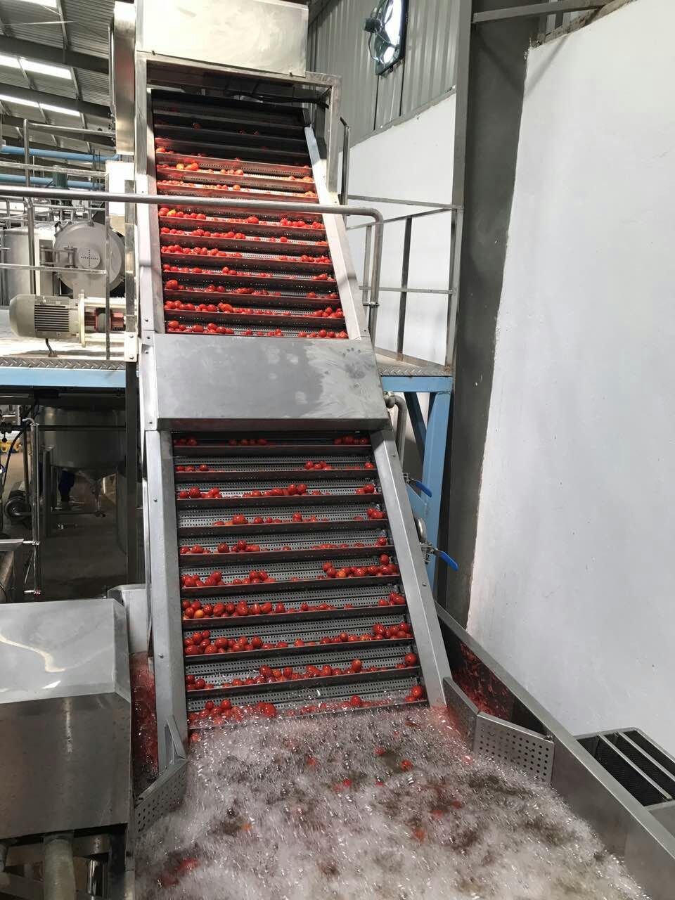 2-10T/H Concentrate Tomato Puree Factory/ Tomato Paste Processing Plant