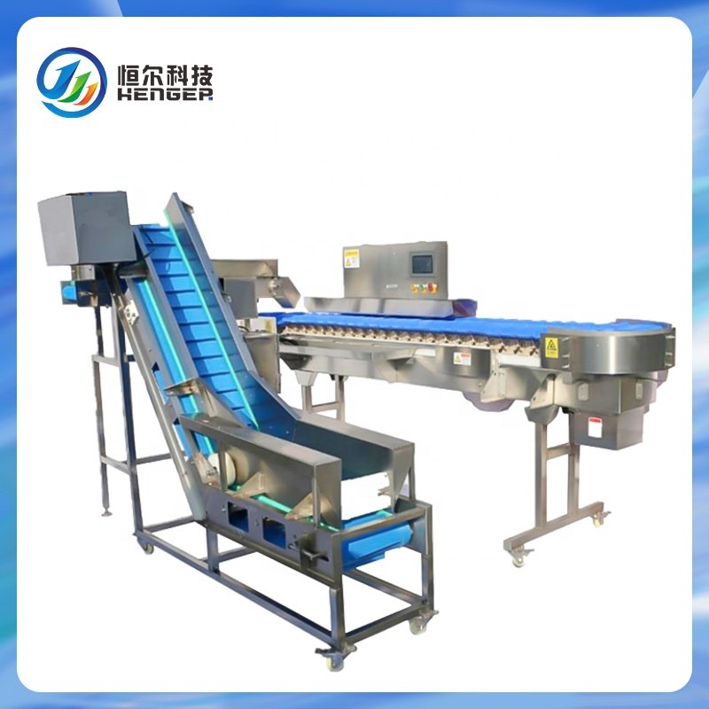 High Speed Weight Sorting Belt Conveyor System Automatic Chicken/egg/shrimp/fish Grader Sorting Machine