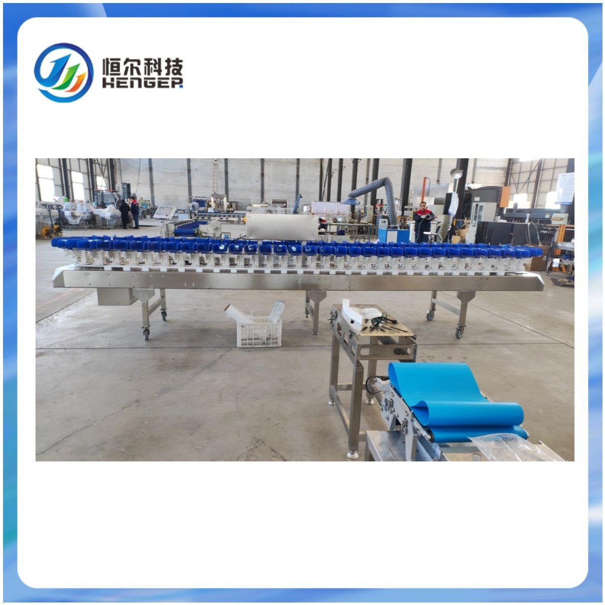 High Speed Weight Sorting Belt Conveyor System Automatic Chicken/egg/shrimp/fish Grader Sorting Machine