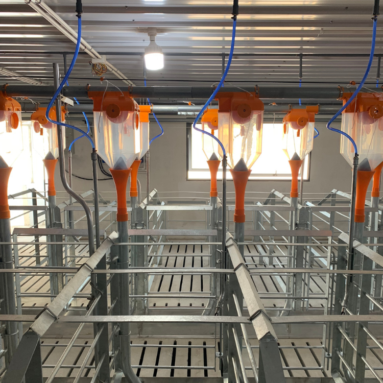 Plastic Drop Feeder for Pig/Swine Farm New Feed Dispenser in Automatic Feeding System High Quality