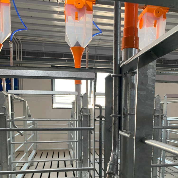 Plastic Drop Feeder for Pig/Swine Farm New Feed Dispenser in Automatic Feeding System High Quality