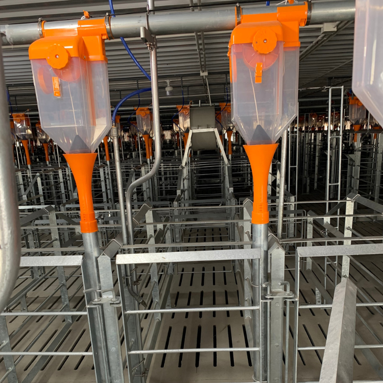Plastic Drop Feeder for Pig/Swine Farm New Feed Dispenser in Automatic Feeding System High Quality