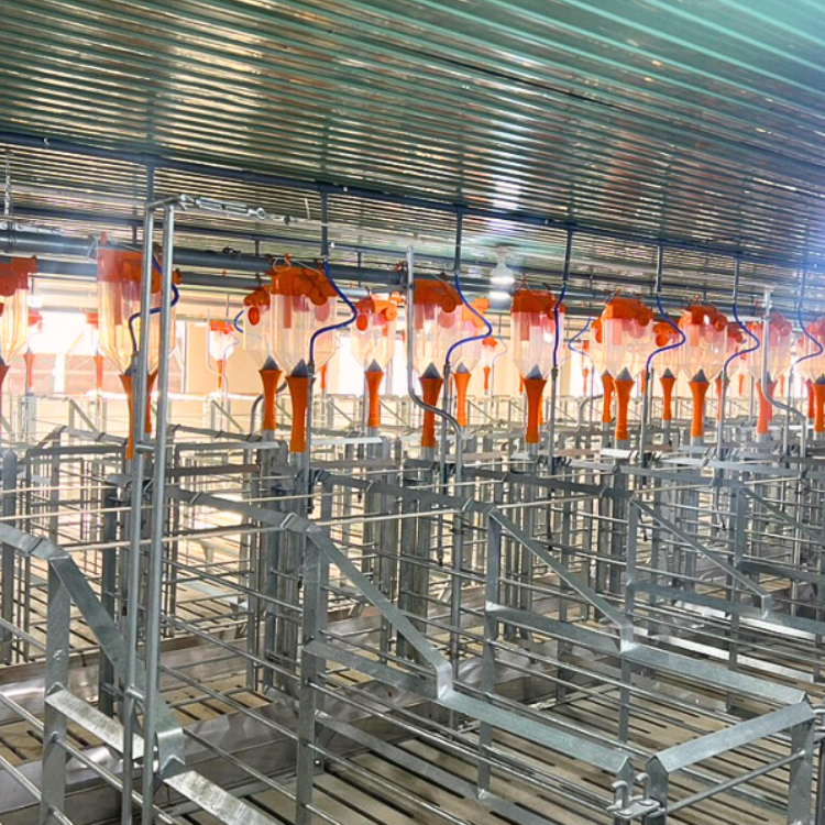 Plastic Drop Feeder for Pig/Swine Farm New Feed Dispenser in Automatic Feeding System High Quality