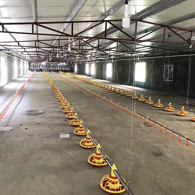Fully Automatic Poultry Farm Equipment Automatic Chicken House Drinking and Feeding System Broiler Auto Feed Line System
