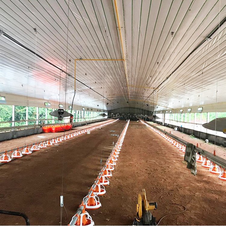 Fully Automatic Poultry Farm Equipment Automatic Chicken House Drinking and Feeding System Broiler Auto Feed Line System