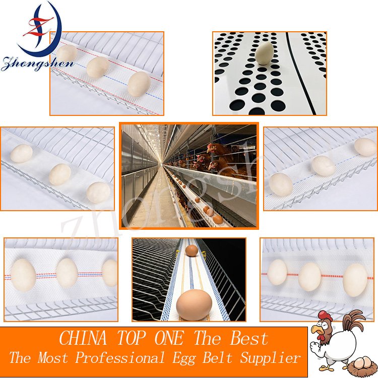 Perforated Egg Conveyor Belt Poultry Chicken Perforated Egg Collection Belt For Chicken Farm