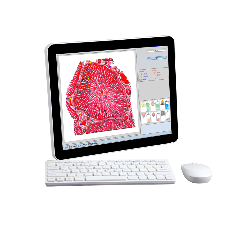 9D Detector NLSERA Health Management System Cardiovascular and Cerebrovascular Analyzer for Sub-healthy Organ Cells in the Body