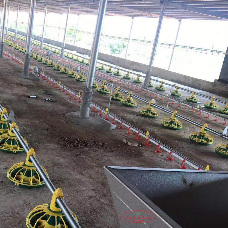 Modern Chickens Broiler Farm Poultry Farming Equipment Auto Hanging Drinkers and Feeders for Chickens