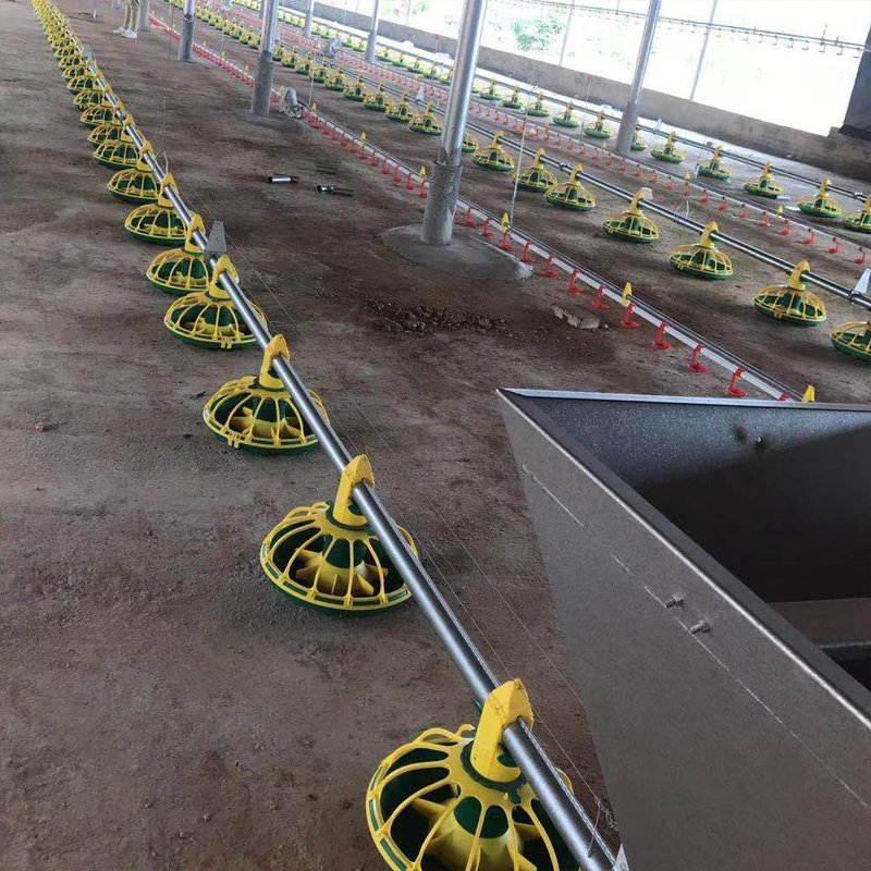 High Quality Plastic Poultry Feeder Pan Bucket Water Drinker Farm Equipment Auto Chicken Feeder