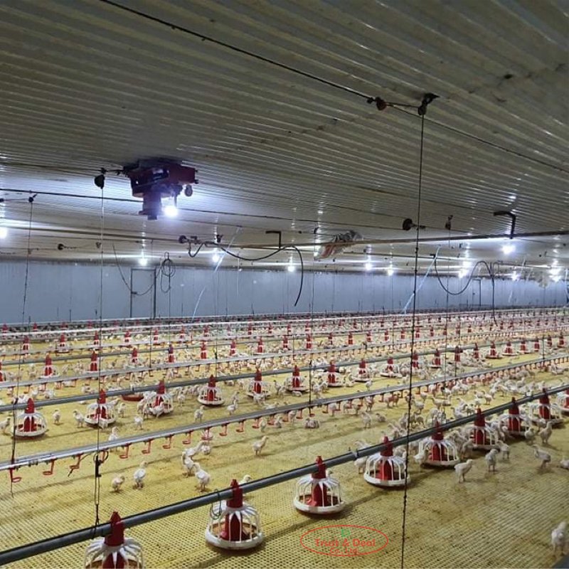 High Quality Plastic Poultry Feeder Pan Bucket Water Drinker Farm Equipment Auto Chicken Feeder