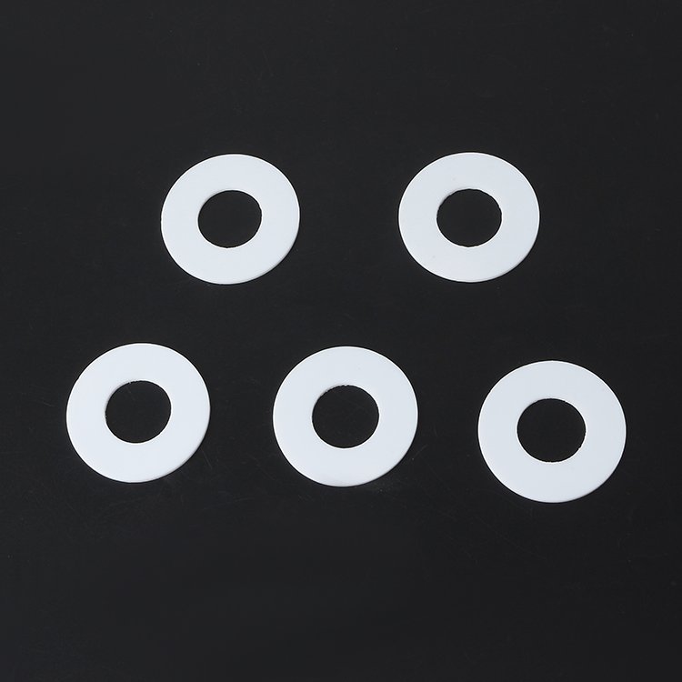 Customized PTFE perforated gaskets mechanical gaskets flange gaskets