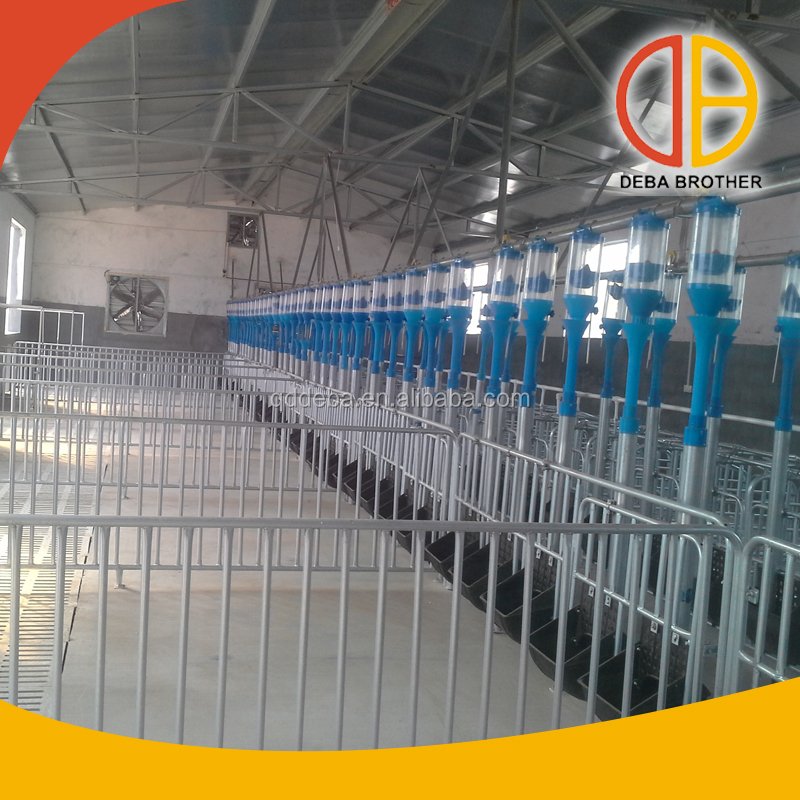 New Promotion Automatic Livestock Feeders Chain Feeding Lines