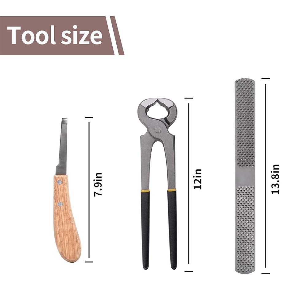 Professional Double Sided Stainless Steel Hoof Rasp Files Veterinary Instruments for Horse Hoof Cleaning Tool Manicure Kits