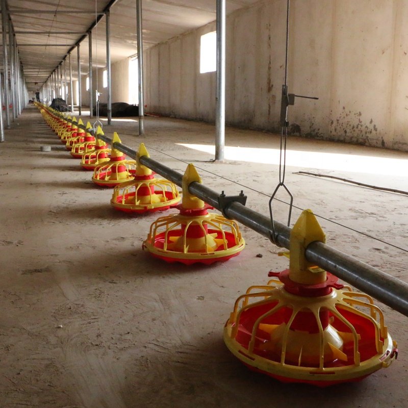 Automatic Poultry Chicken Pan Feeder System with South Africa Auger