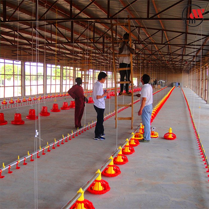 Commercial Electric Poultry Farm Feeder and Drinker