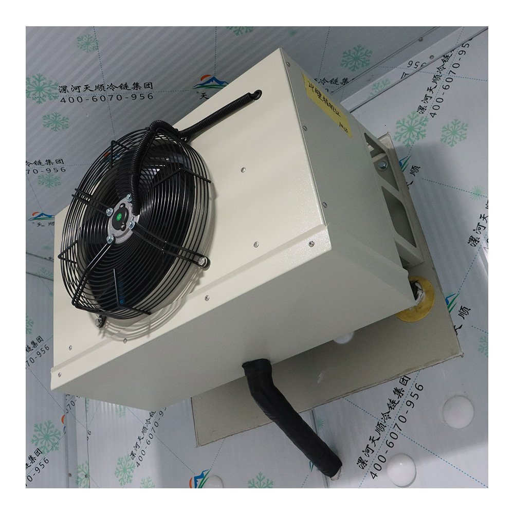 Walk in Cold Room Cooler Cold Storage Room Freezer 220-240V Power Small Mobile Refrigerator Truck Body