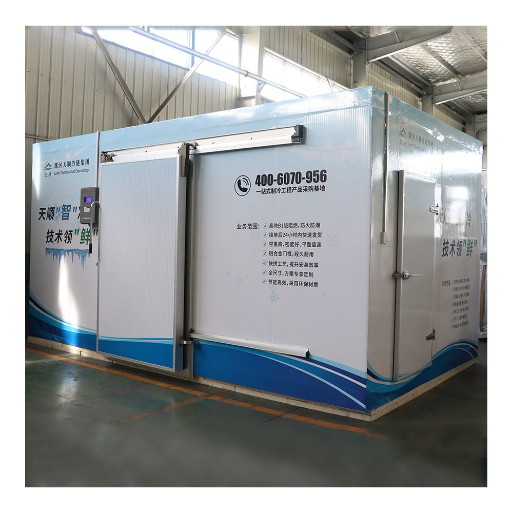 Walk in Cold Room Cooler Cold Storage Room Freezer 220-240V Power Small Mobile Refrigerator Truck Body