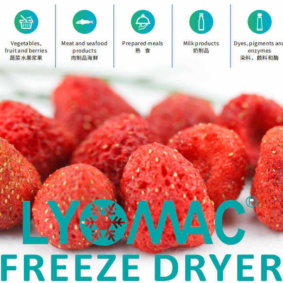 1000L GMP/FDA Complianced Pharmacuticals Lyophilizer Freeze Dryer with Auto Loading and Filling Line
