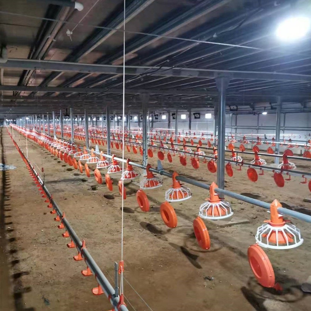 New Design Full Set Chicken Equipment Poultry Farm Automatic Feeders and Drinkers