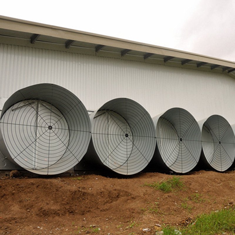 New Design Full Set Chicken Equipment Poultry Farm Automatic Feeders and Drinkers
