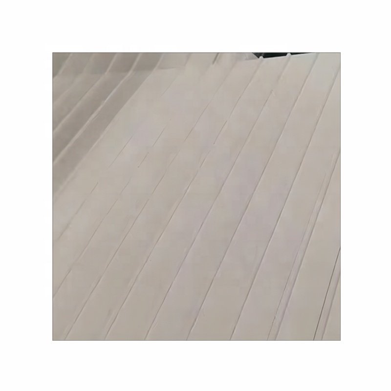 Posiitve Driven Low Temperature Conveying Without Cracking Frozen Food Dumplings And Balls White Hygienic Food Conveyor Belt