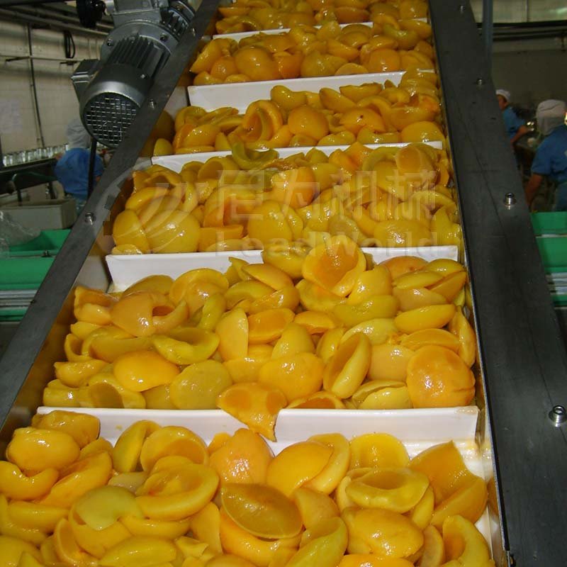Leadworld Automatic Assembly Line Flat Belt Conveyor System Multipurpose Conveying Solution New Condition