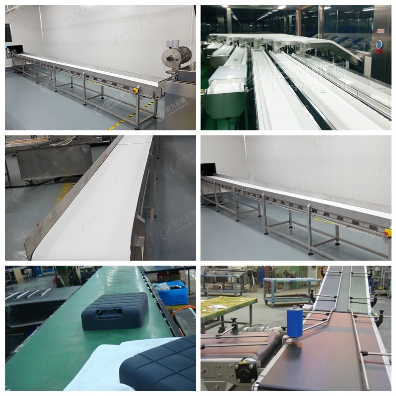 Leadworld Automatic Assembly Line Flat Belt Conveyor System Multipurpose Conveying Solution New Condition