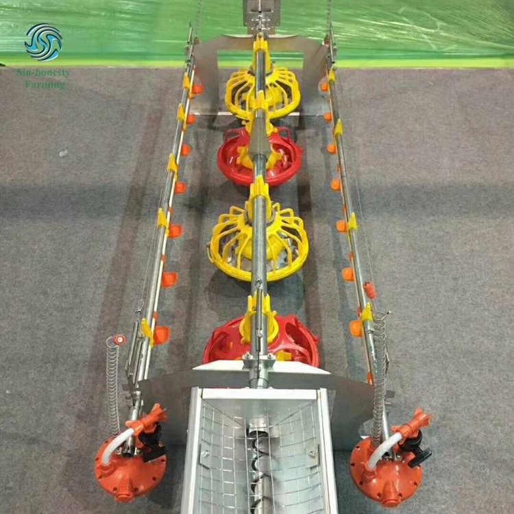 Animal Husbandry Equipment Poultry Feed Equipment Feeding System for Poultry Farm
