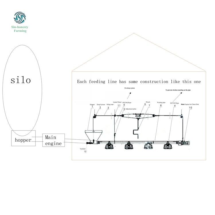 Animal Husbandry Equipment Poultry Feed Equipment Feeding System for Poultry Farm