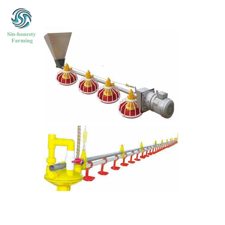 Animal Husbandry Equipment Poultry Feed Equipment Feeding System for Poultry Farm