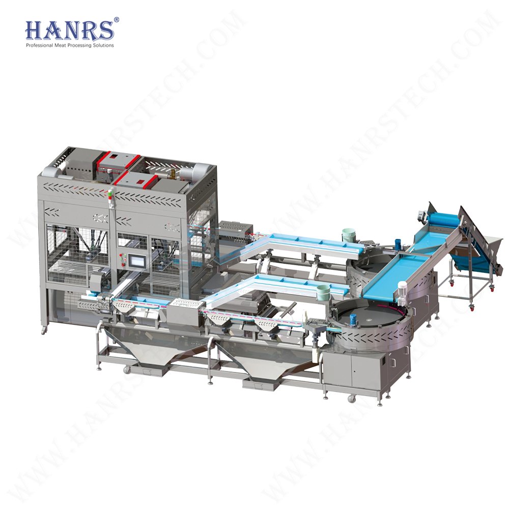 Hanrs Customizable Compact Automatic Feeding Line New Condition Customizable Auto Feeder