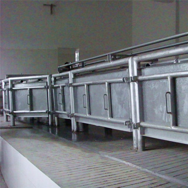 Auto Hog Slaughtering Equipment for Pork Butcher Abattoir Meat Process Line
