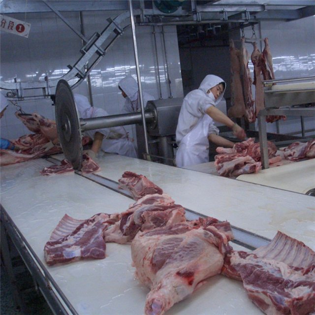 Auto Hog Slaughtering Equipment for Pork Butcher Abattoir Meat Process Line