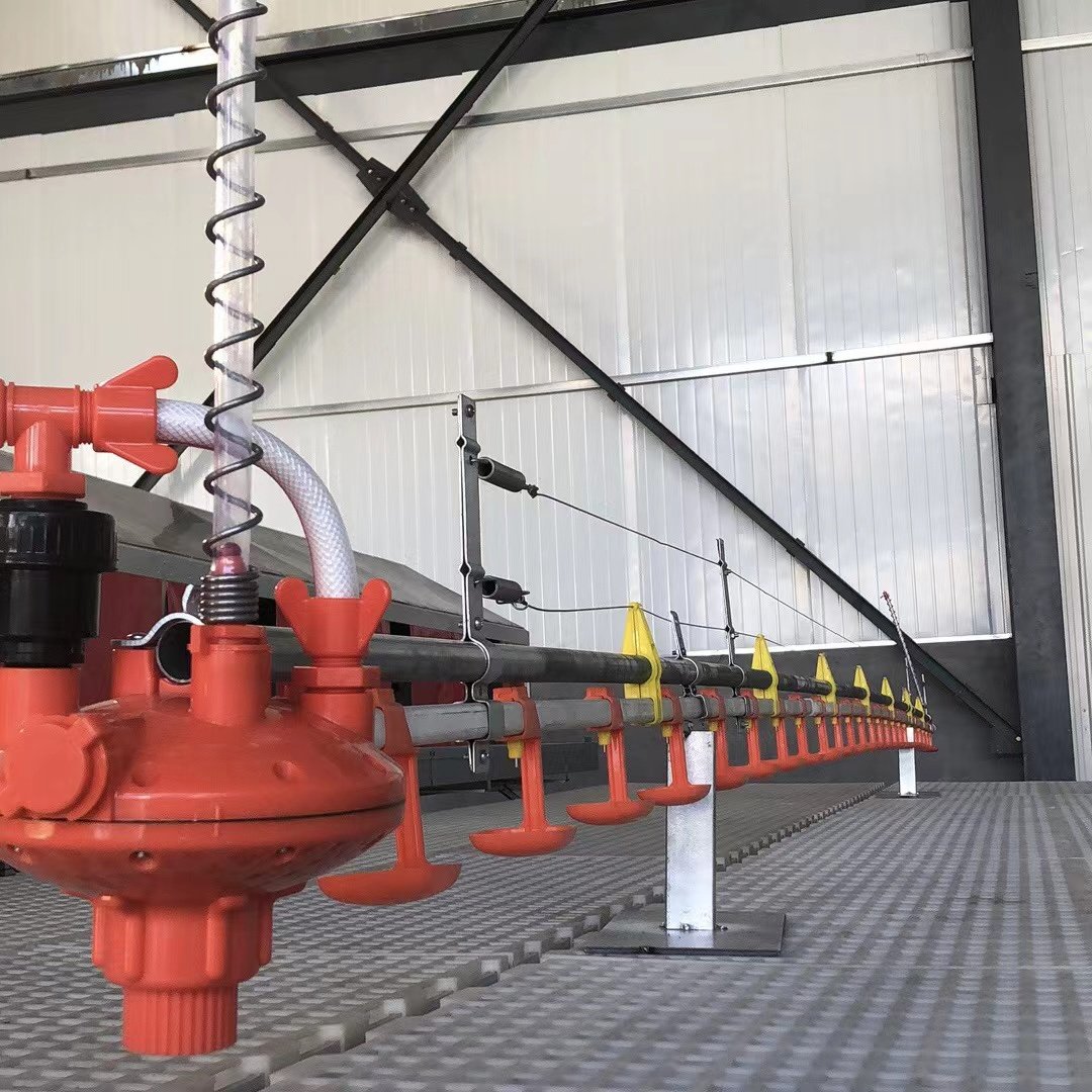 Auto Line Poultry Farm Automatic Pan Feeding and Drinking Line for Chicken House