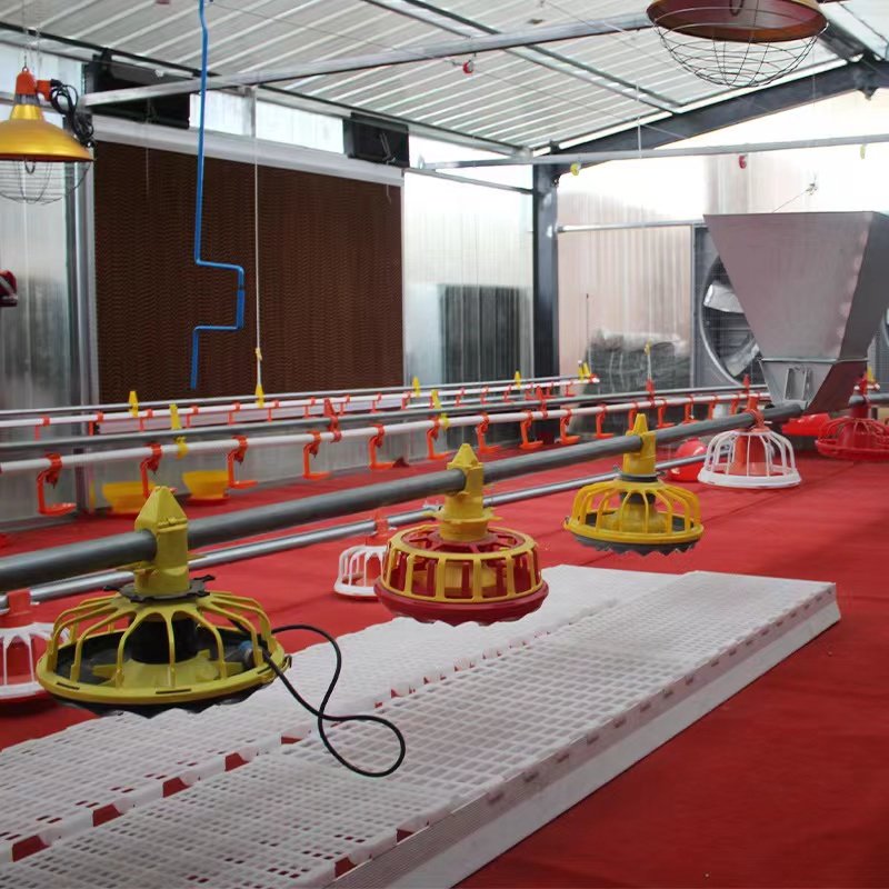Auto Line Poultry Farm Automatic Pan Feeding and Drinking Line for Chicken House