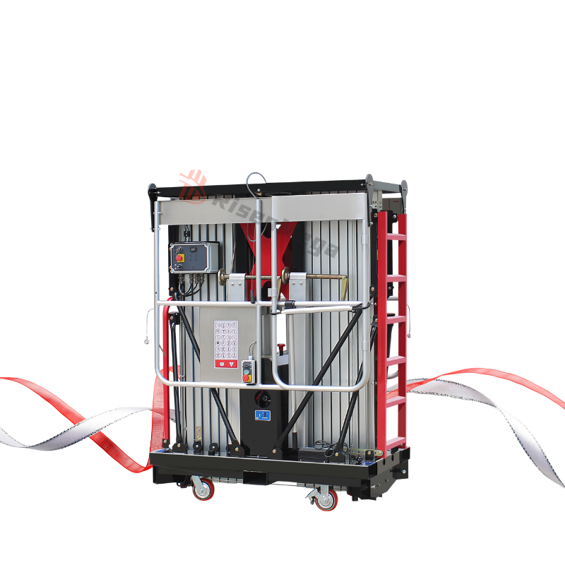 Risenmega High End 6-16M Man Vertical Mast Double Mast Aluminum Alloy Vertical Mast Lifts With Ascensor Lift