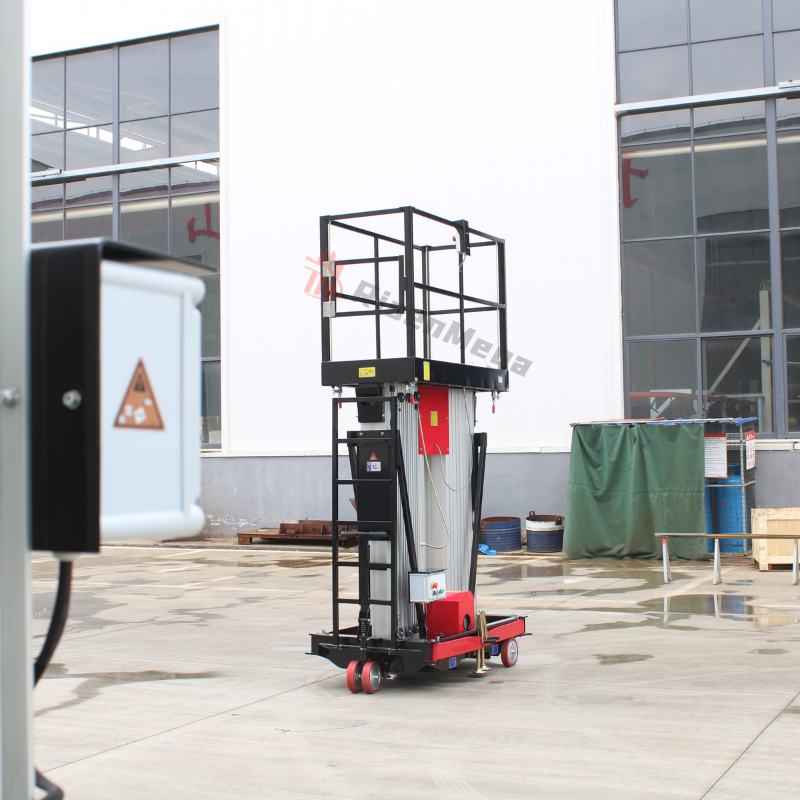 Risenmega High End 6-16M Man Vertical Mast Double Mast Aluminum Alloy Vertical Mast Lifts With Ascensor Lift