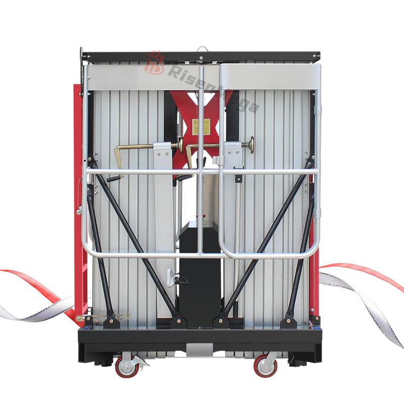 Risenmega High End 6-16M Man Vertical Mast Double Mast Aluminum Alloy Vertical Mast Lifts With Ascensor Lift
