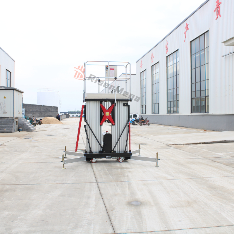 Risenmega High End 6-16M Man Vertical Mast Double Mast Aluminum Alloy Vertical Mast Lifts With Ascensor Lift