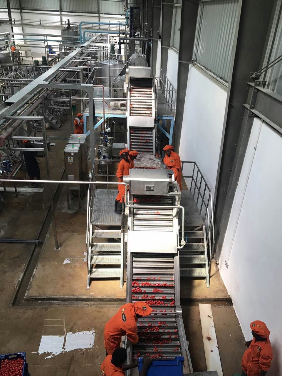 Carrot Processing Line Carrot Juice Production Line Carrot Puree Making Equipment