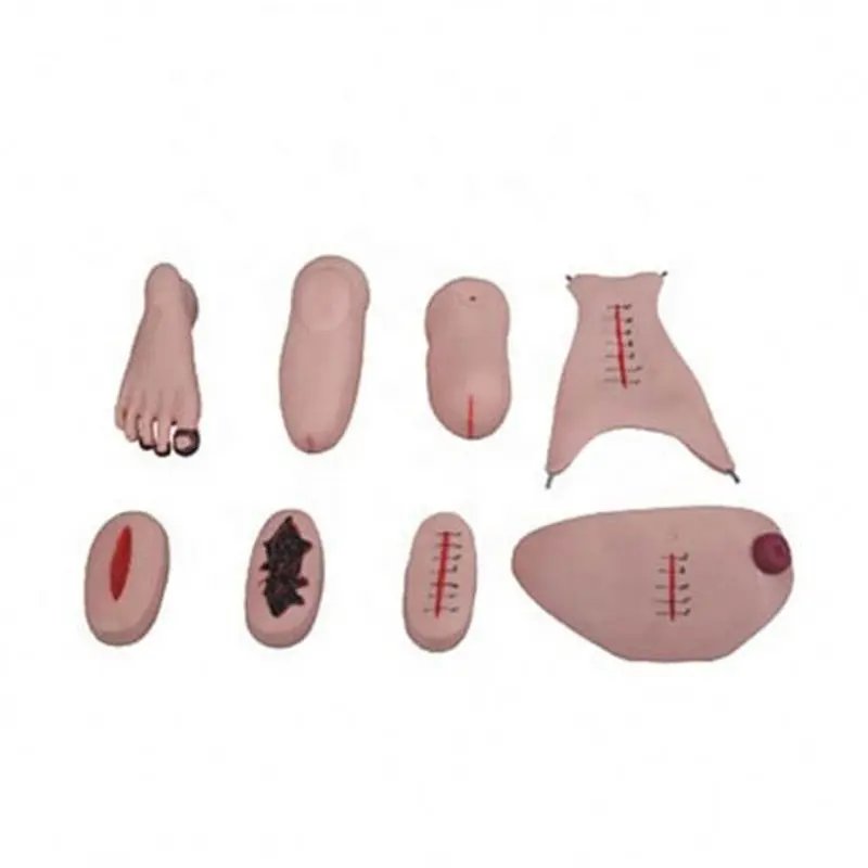 Medical Sciences Advanced Wound Care Model Simulates Traumatic Arm Muscle Bleeding Experimental Device