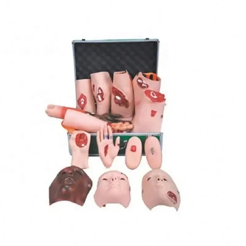 Medical Sciences Advanced Wound Care Model Simulates Traumatic Arm Muscle Bleeding Experimental Device