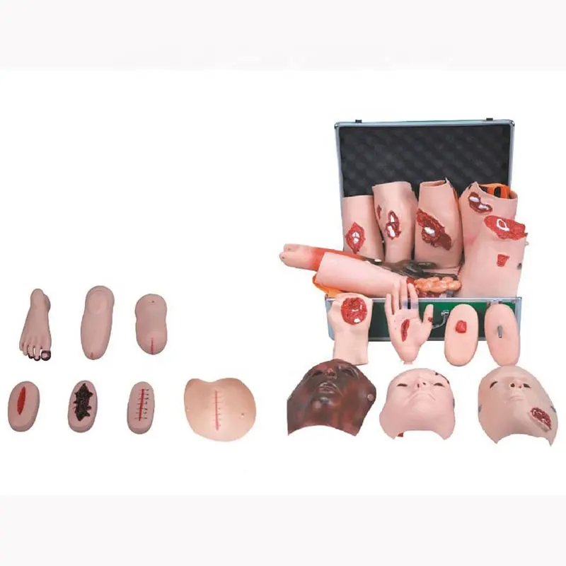 Medical Sciences Advanced Wound Care Model Simulates Traumatic Arm Muscle Bleeding Experimental Device