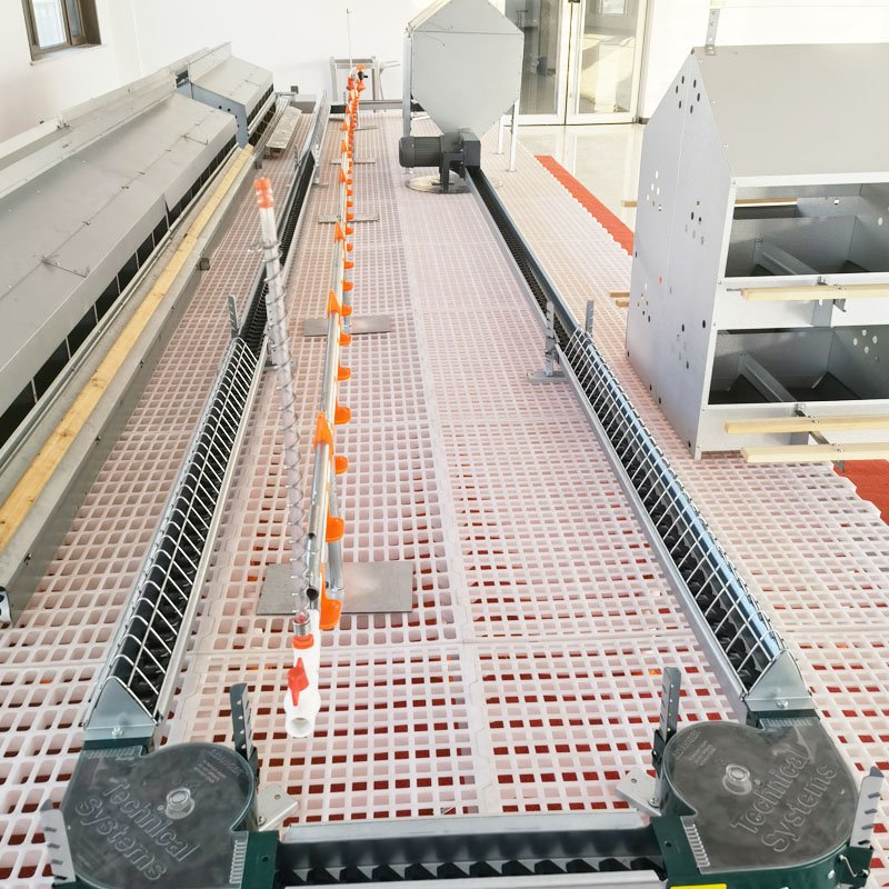 Chicken Feeding Trough, Galvanized Chain Feed Trough for Breeder and Poultry Breeding