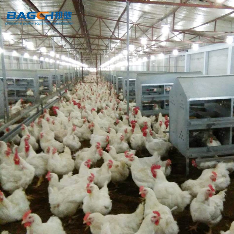 Chicken Feeding Trough, Galvanized Chain Feed Trough for Breeder and Poultry Breeding