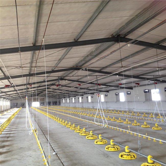 Automatic Pan Feeding Line for Broiler Feeding System