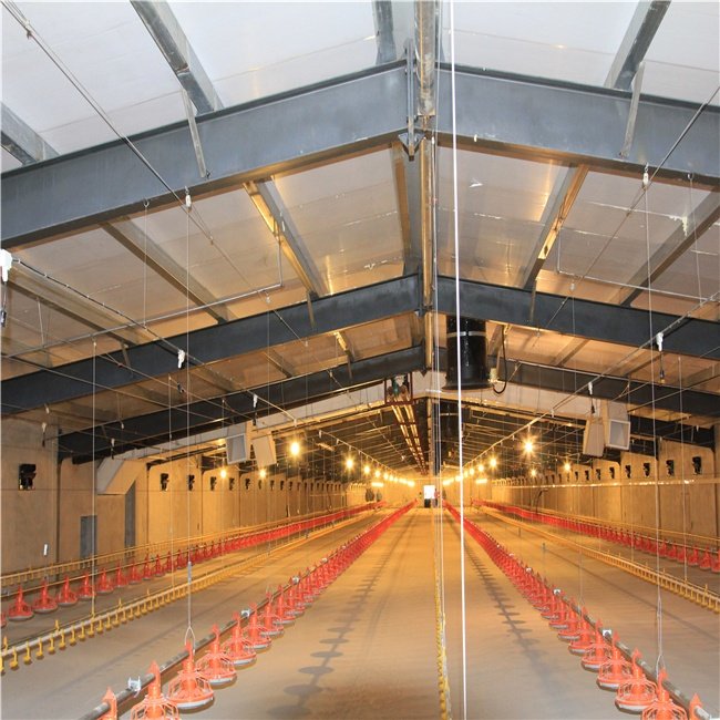Automatic Pan Feeding Line for Broiler Feeding System
