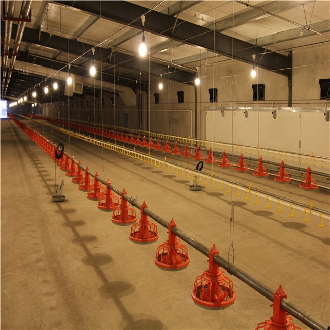Automatic Pan Feeding Line for Broiler Feeding System