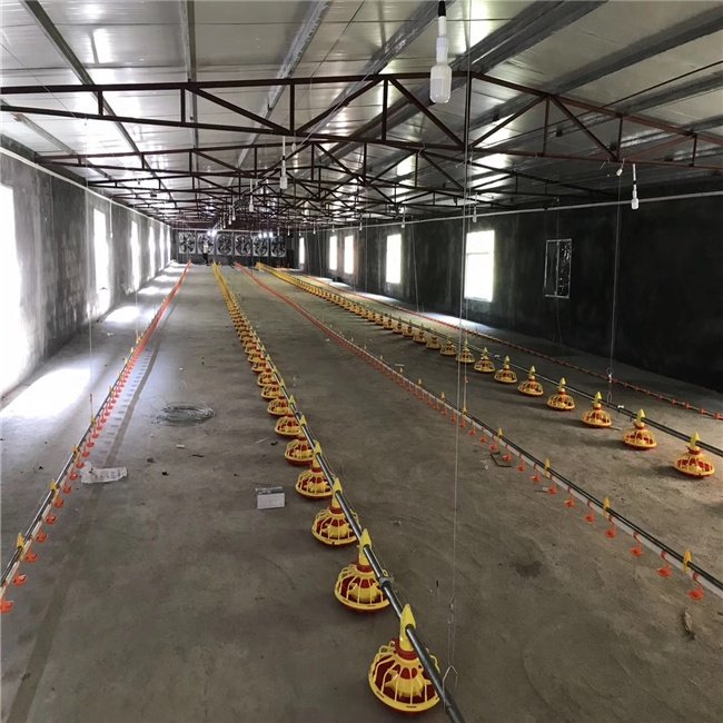 Automatic Pan Feeding Line for Broiler Feeding System