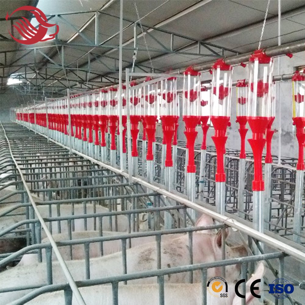 Pig Feeder Auto Feeder Farming Equipment Feed Production Line Automatic Pig Feeding